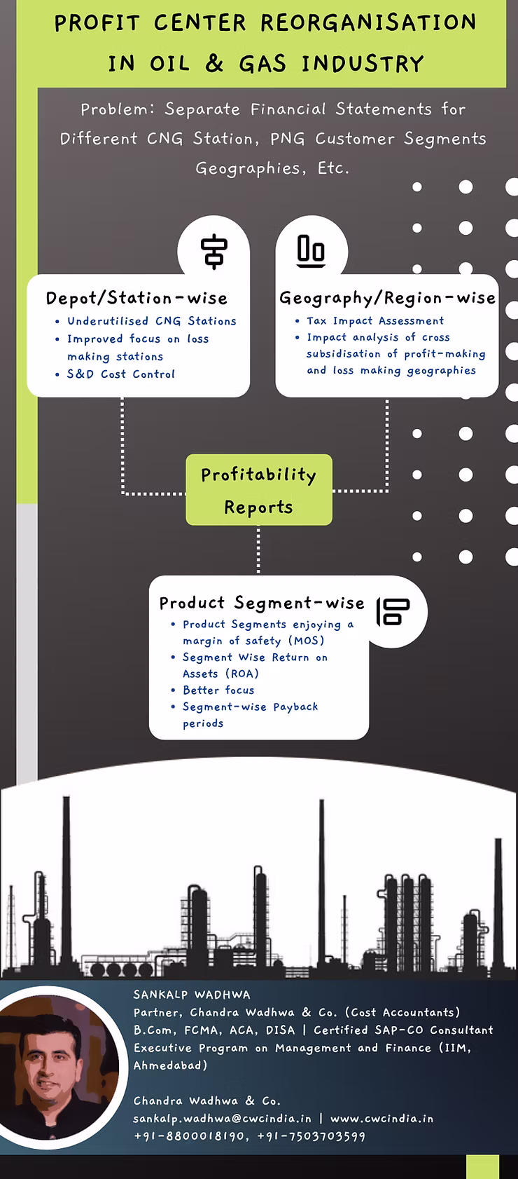 Segment reporting: Can you see beyond the financial reporting standards?